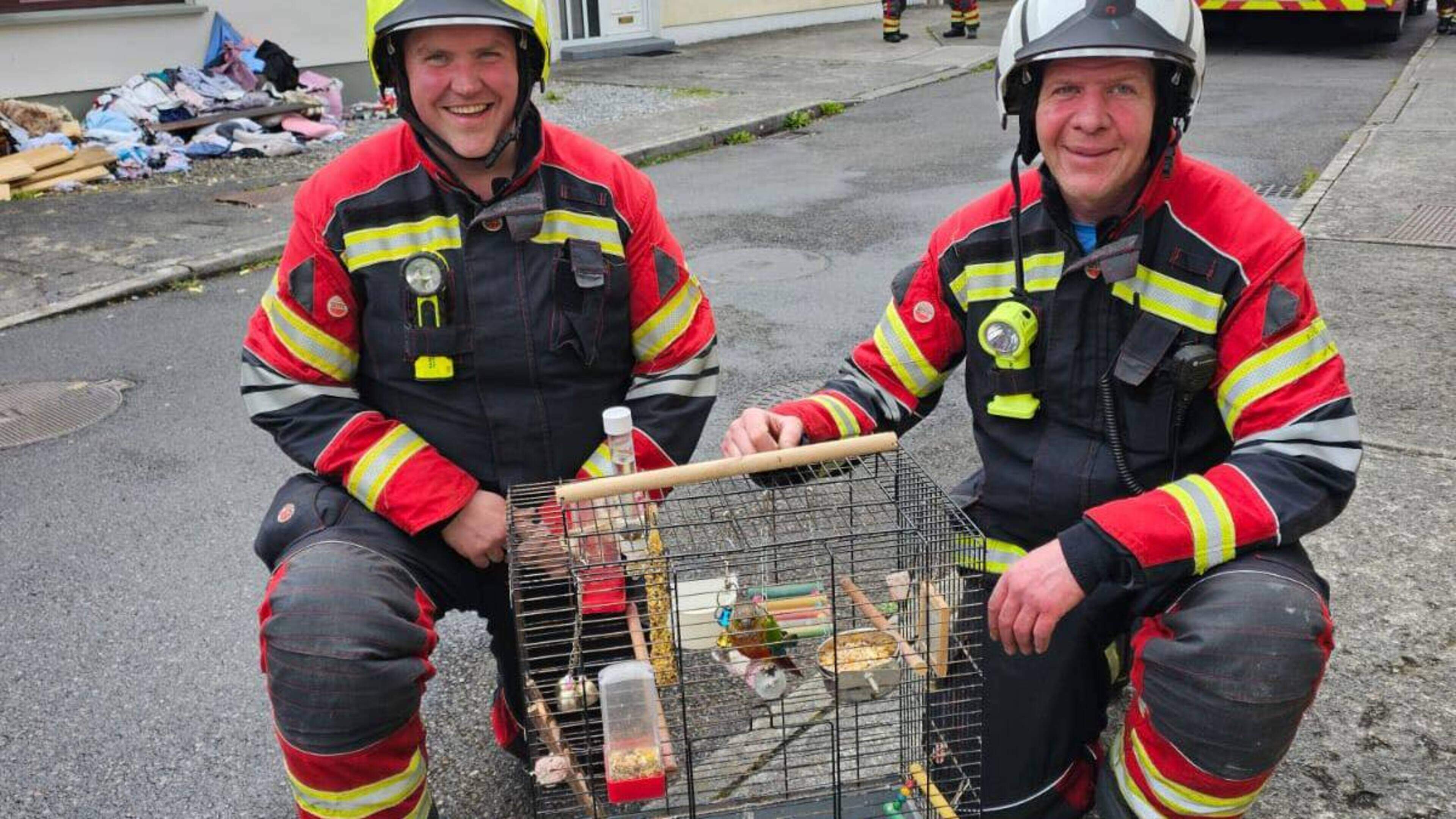 Parrot rescued from Galway family house fire - ‘No feathers were ruffled’