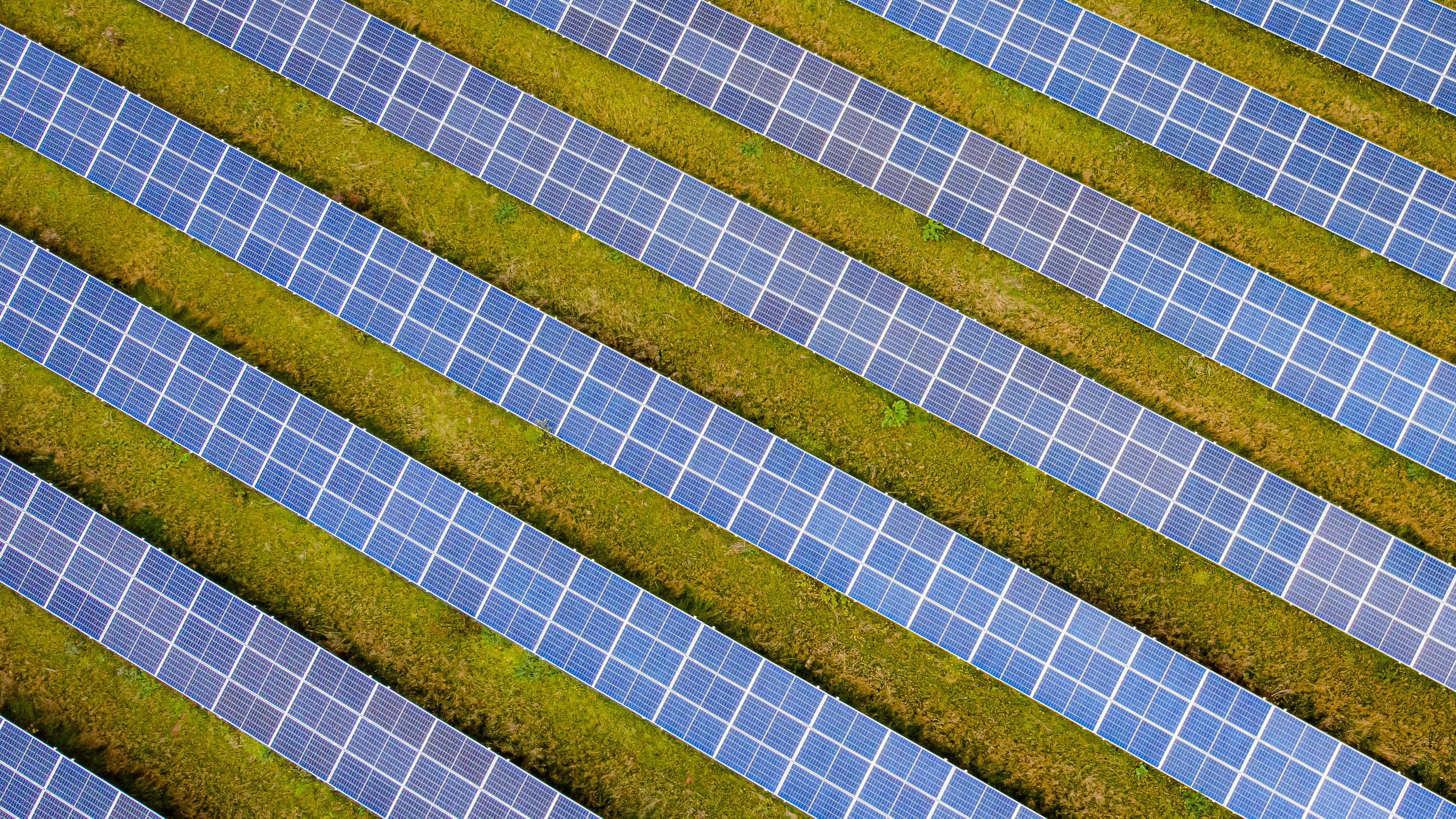 Rural Cork location focus of 137-acre solar farm plan