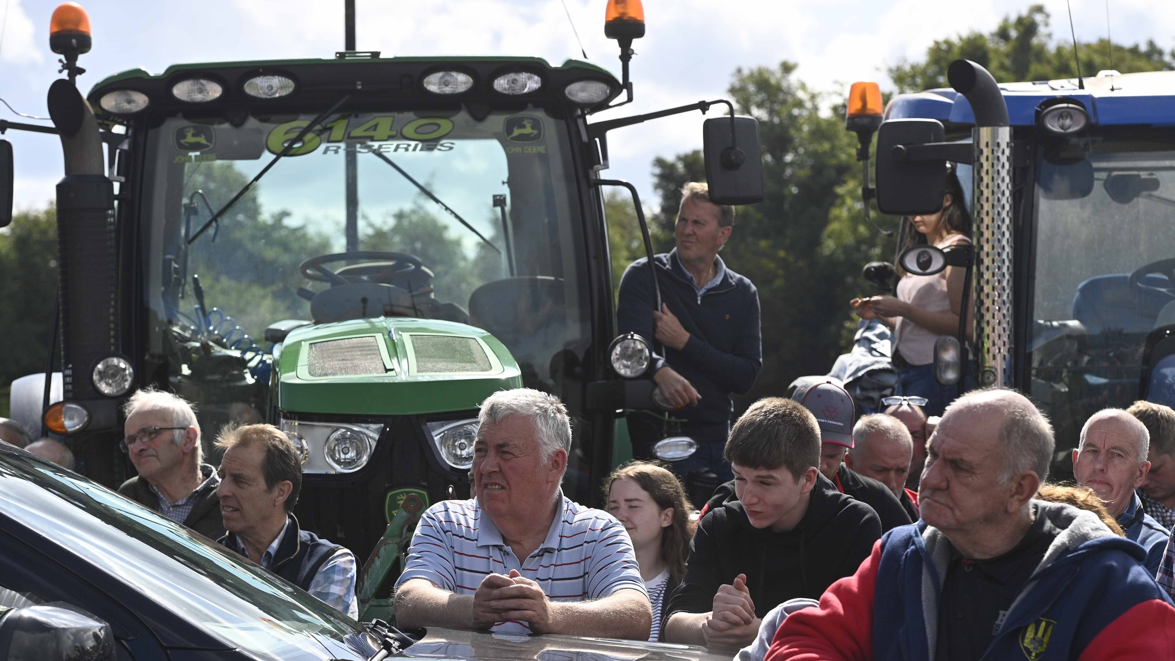 Minister announces details of review into shooting of 51 cows in Co Tyrone