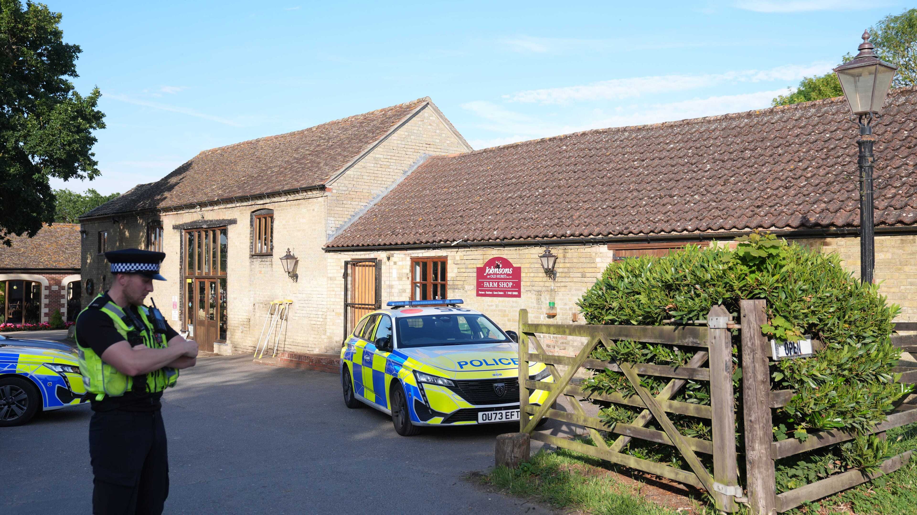 Man bailed as ‘not fit for interview’ after boy (3) thrown into crocodile enclosure at zoo